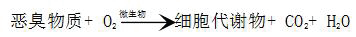 生物滤池反应原理 生物滤池反应原理